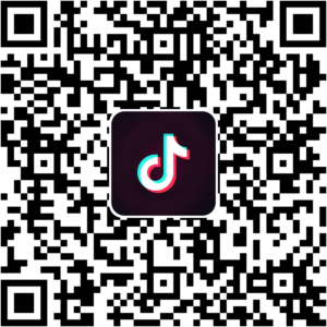 抖音小程序